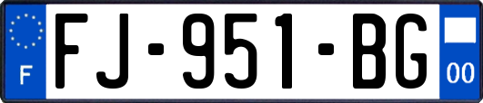 FJ-951-BG