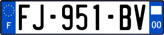 FJ-951-BV