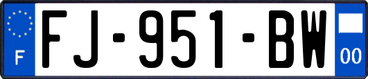 FJ-951-BW