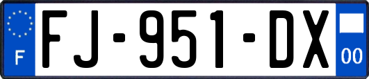 FJ-951-DX