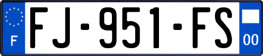 FJ-951-FS