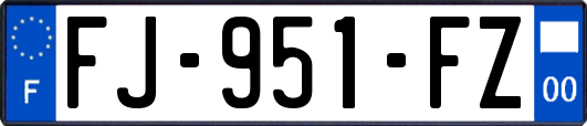 FJ-951-FZ