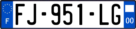 FJ-951-LG