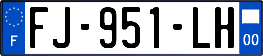 FJ-951-LH