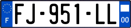 FJ-951-LL