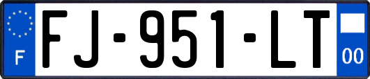 FJ-951-LT