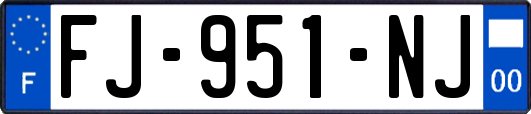 FJ-951-NJ