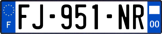 FJ-951-NR