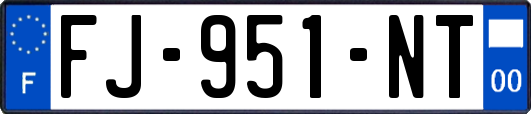 FJ-951-NT