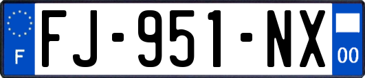 FJ-951-NX
