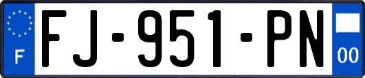 FJ-951-PN