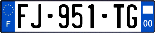 FJ-951-TG