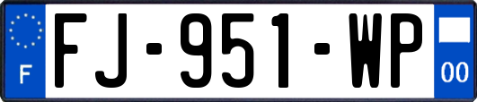 FJ-951-WP