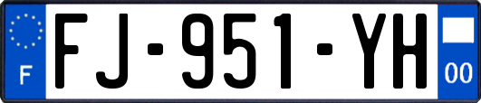 FJ-951-YH
