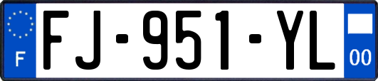 FJ-951-YL