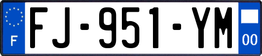 FJ-951-YM