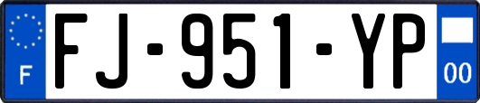 FJ-951-YP