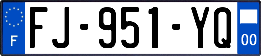FJ-951-YQ