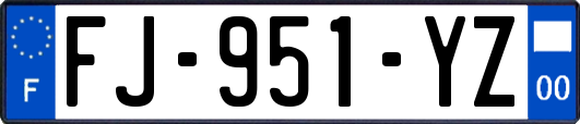 FJ-951-YZ