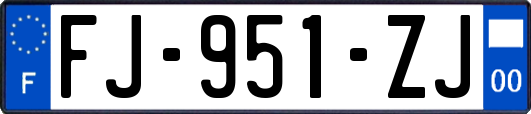 FJ-951-ZJ