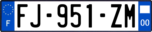 FJ-951-ZM