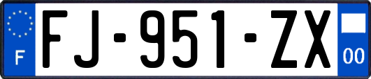 FJ-951-ZX