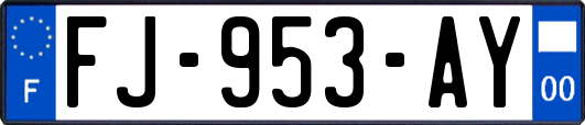 FJ-953-AY