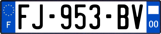 FJ-953-BV