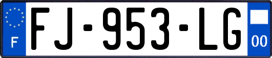 FJ-953-LG