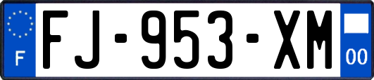 FJ-953-XM