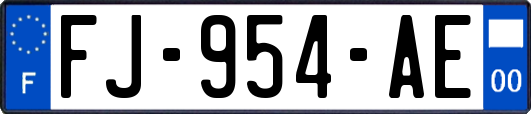 FJ-954-AE