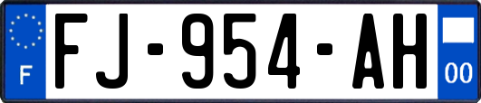 FJ-954-AH