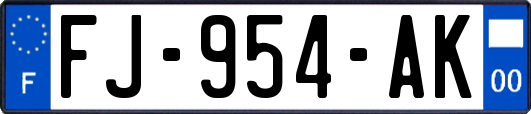 FJ-954-AK