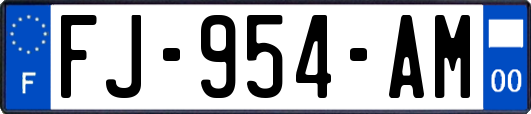 FJ-954-AM