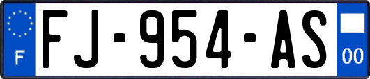 FJ-954-AS