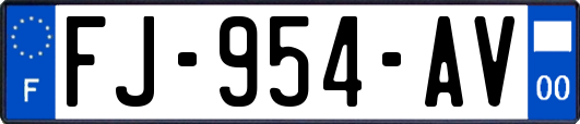 FJ-954-AV