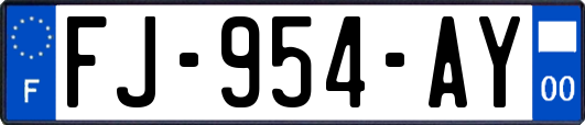 FJ-954-AY