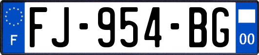 FJ-954-BG