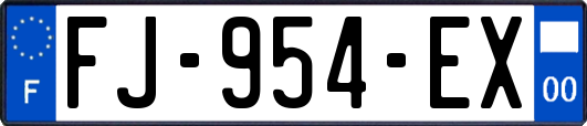 FJ-954-EX