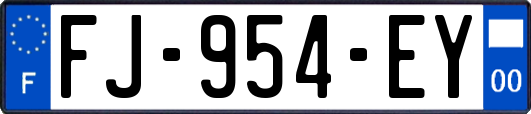 FJ-954-EY