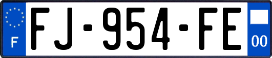 FJ-954-FE
