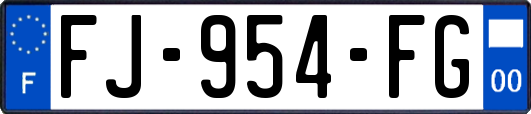 FJ-954-FG