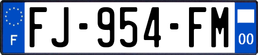 FJ-954-FM