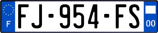 FJ-954-FS