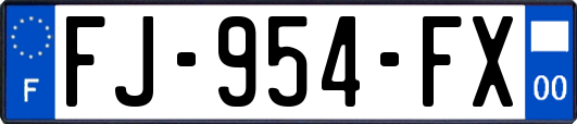 FJ-954-FX
