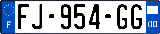 FJ-954-GG