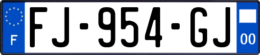 FJ-954-GJ