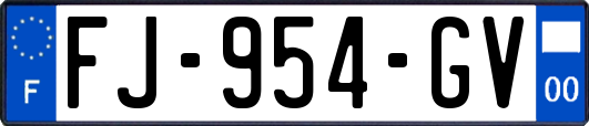FJ-954-GV