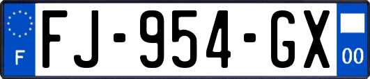 FJ-954-GX
