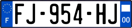 FJ-954-HJ
